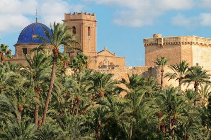Cultural Tour of the Palmeral and Historic Center of Elche