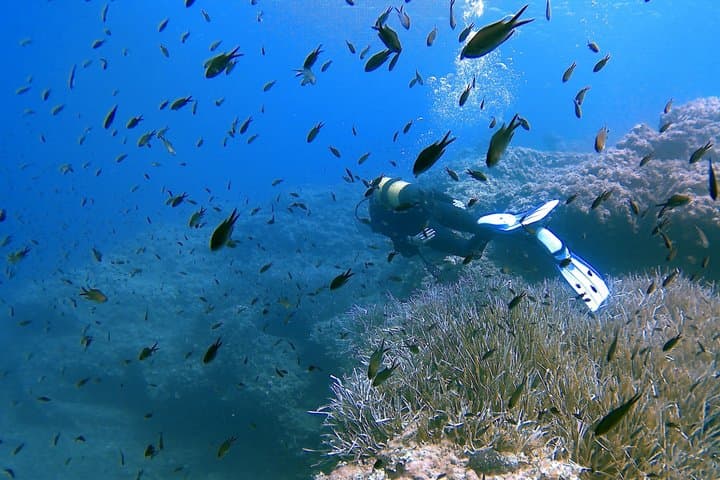 Discover Scuba Diving your first underwater experience