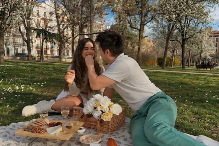 Private Chic Picnic Experience in Madrid
