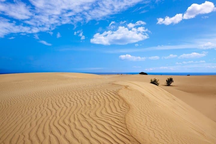North Fuerteventura : Visit El Cotillo, Wine and Dunes