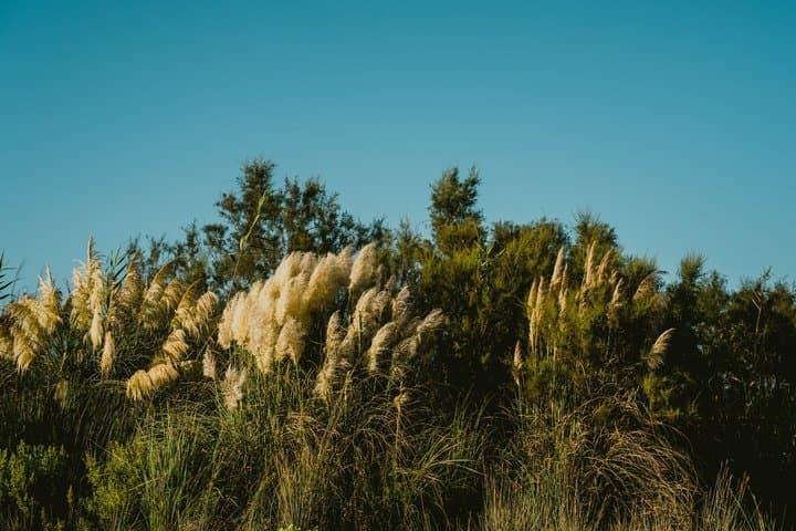 Discover the Tropical Coast - Salobrena, Velez and Torrenueva