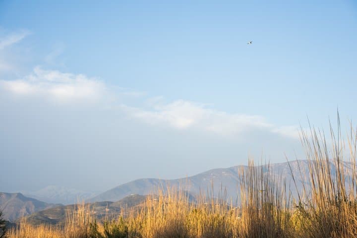 Discover the Tropical Coast - Salobrena, Velez and Torrenueva