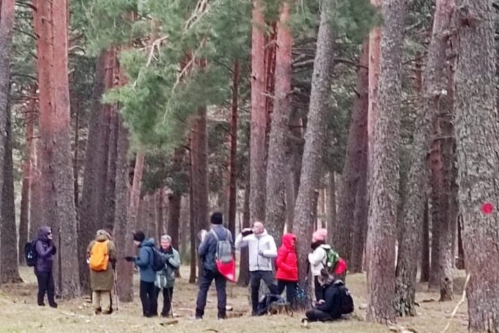 Hiking Boutique with Official Guide in Madrid