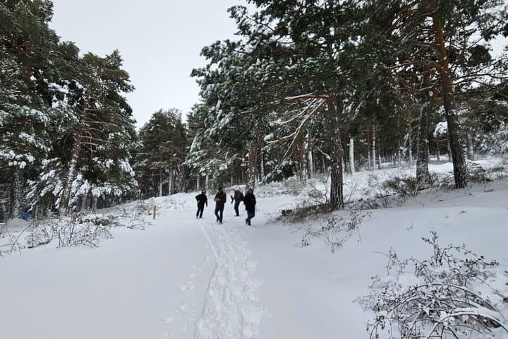 Hiking Boutique with Official Guide in Madrid