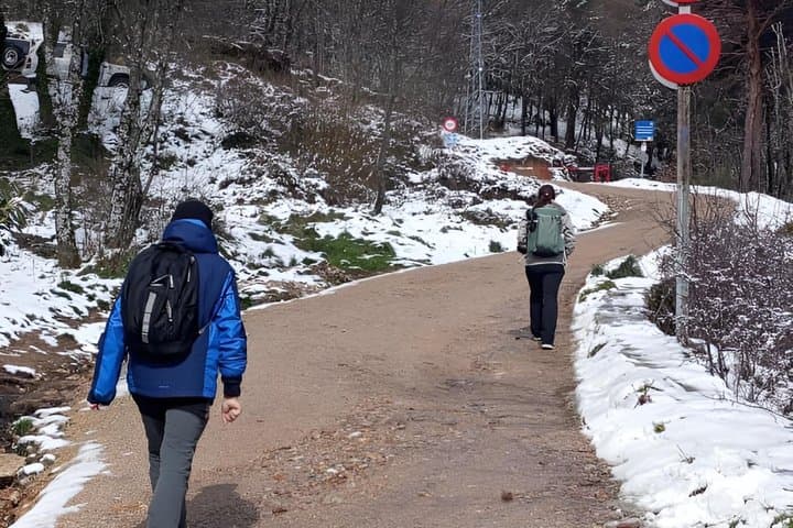 Madrid: Hiking Boutique in the Sierra de Guadarrama with Guide