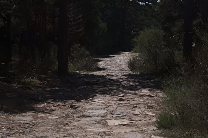 Madrid: Hiking Boutique in the Sierra de Guadarrama with Guide
