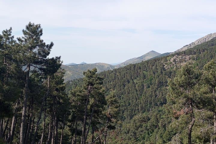 Hiking Boutique with Official Guide in Madrid