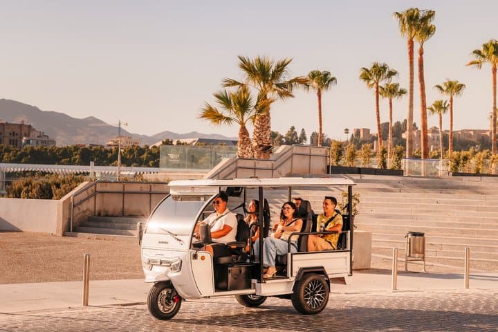 Malaga Essential PRIVATE TOUR in Electric Tuktuk 2h