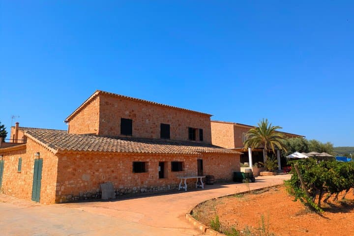 Private Wine and Local Flavors Tour from Palma de Mallorca