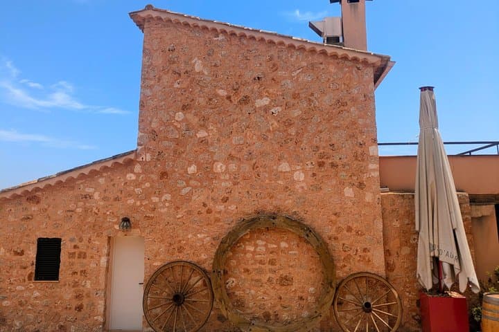 Private Wine and Local Flavors Tour from Palma de Mallorca