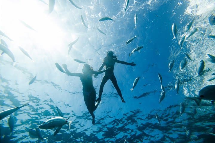 Ferry to Lobos Island + Snorkel from Corralejo