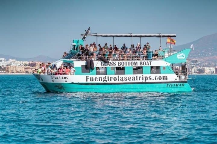 Dolphin watching on a Catamaran in Fuengirola
