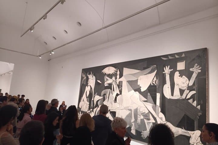 Tickets to the Reina Sofía Museum with a Digital Audio Guide