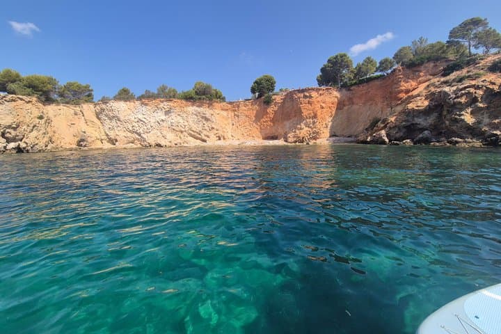 Private All-Inclusive Half-Day Sailing Tour in Palma de Mallorca