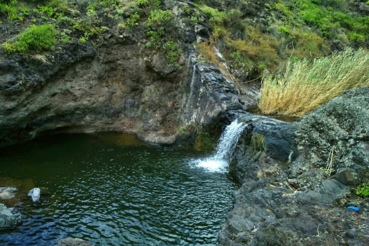 Anaga & The Real Tenerife