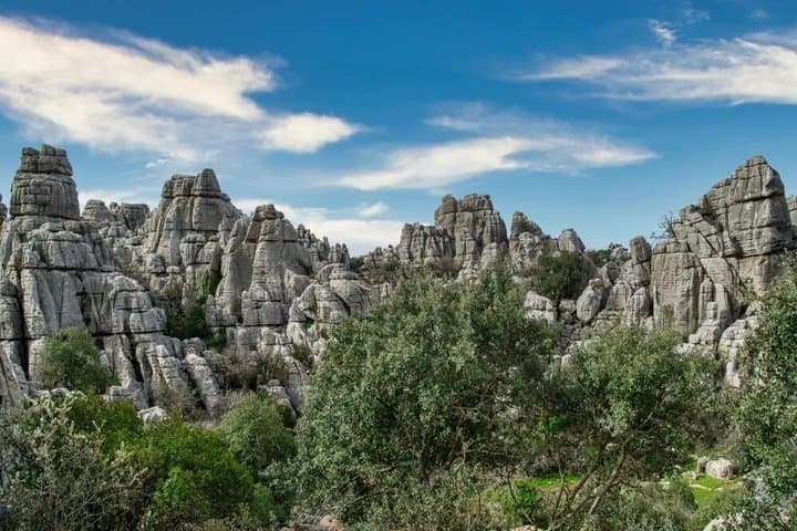 Lobo Park and Torcal de Antequera Day Trip from Granada