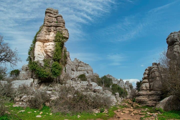 Lobo Park and Torcal de Antequera Day Trip from Granada