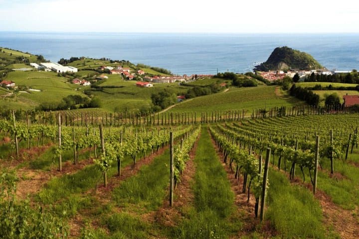 Overnight Tour from Madrid San Sebastian and Basque Country