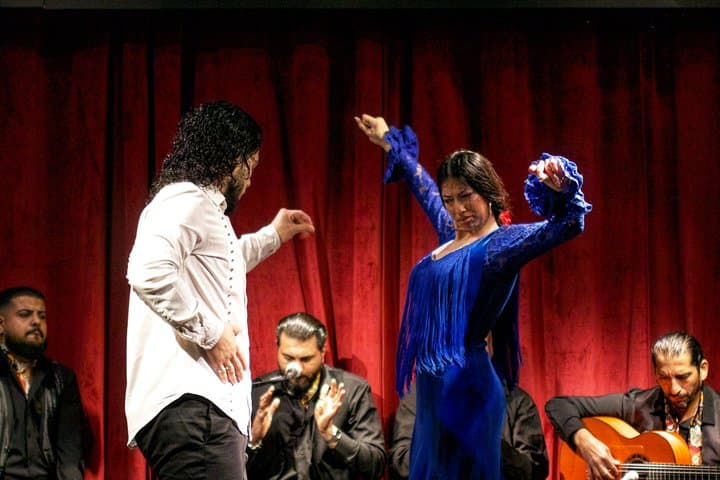 Barcelona Premium Flamenco Show: Tapas, Cocktail & Guitar Museum