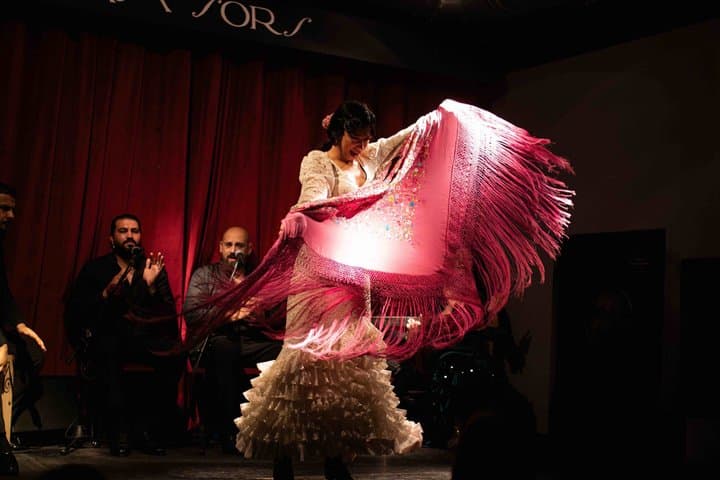 Barcelona Premium Flamenco Show: Tapas, Cocktail & Guitar Museum