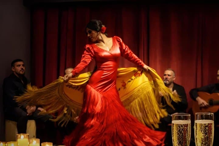 Barcelona Premium Flamenco Show: Tapas, Cocktail & Guitar Museum