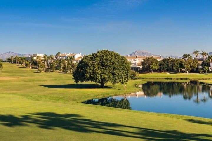 Golf Day in Alicante Green Fee Buggy and Transfers