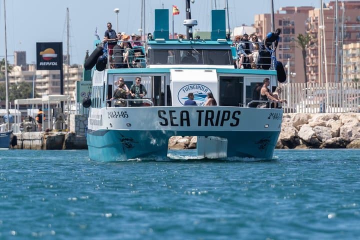 Dolphin watching on a Catamaran in Fuengirola