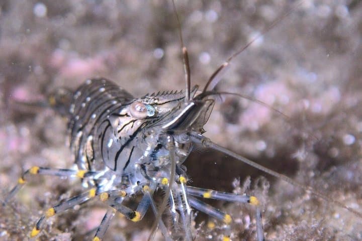 Menorca Private Diving with Certified Diving Guide