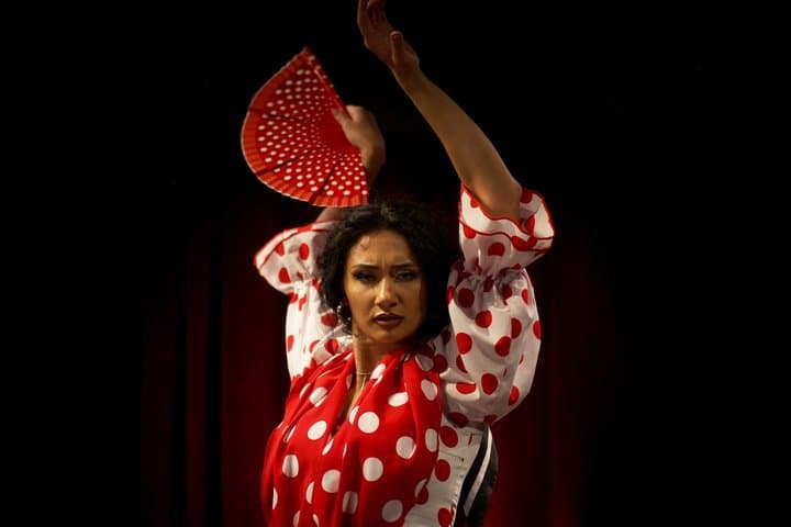 Barcelona Flamenco Night: Live Show & Cocktails Experience