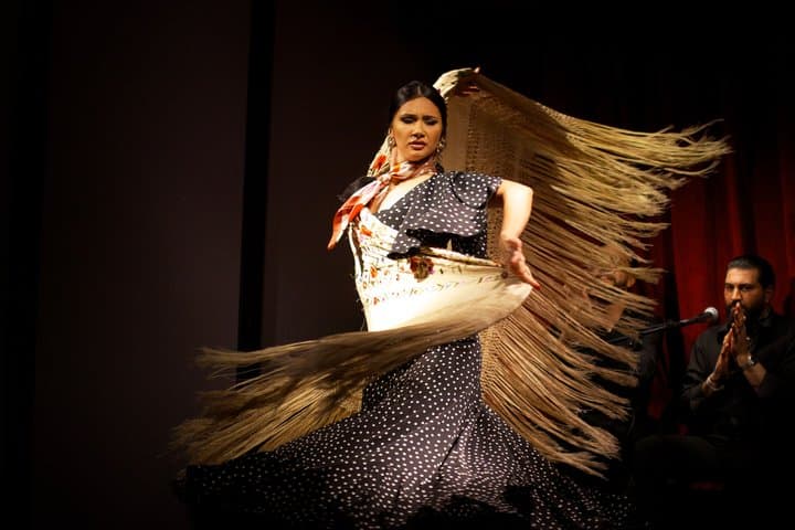 Barcelona Flamenco Night: Live Show & Cocktails Experience