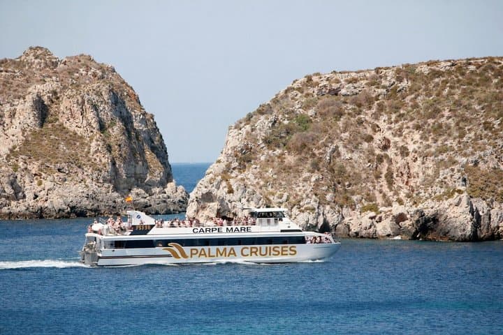 Dolphin Watching from Palma de Mallorca