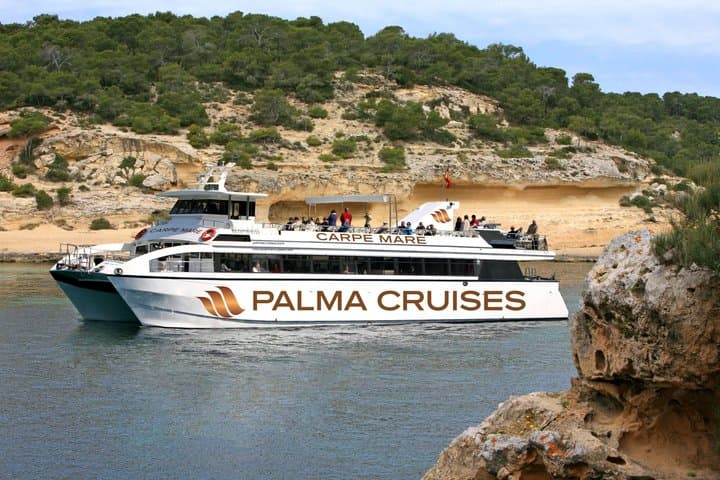 Dolphin Watching from Palma de Mallorca