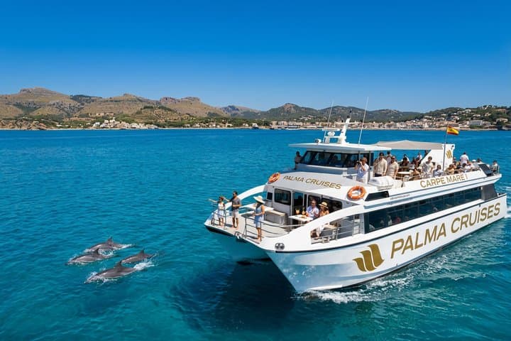 Dolphin Watching from Palma de Mallorca