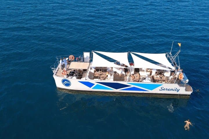 Dolphin Watching in Catamaran from Benalmadena