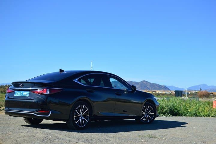 Malaga Airport to Marbella Private Transfer