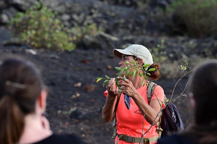 Trekking in the Volcanoes Natural Park in a small group