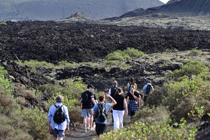 Trekking in the Volcanoes Natural Park in a small group