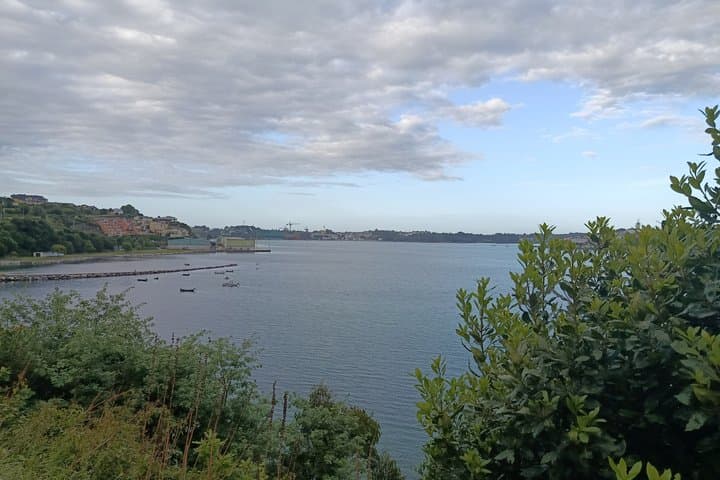 Guided tour Bird watching in Ribadeo tidal mill
