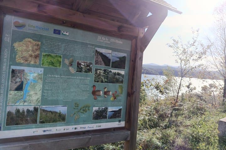 Guided tour Bird watching in Ribadeo tidal mill