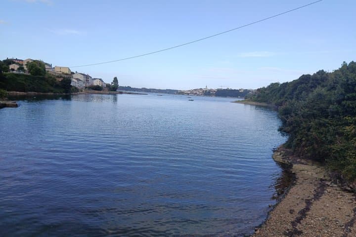 Guided tour Bird watching in Ribadeo tidal mill