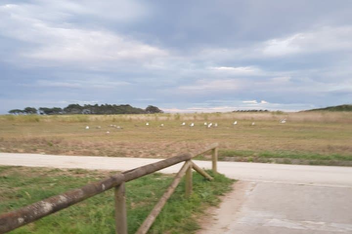 Guided bird watching tour of the Arnao Field