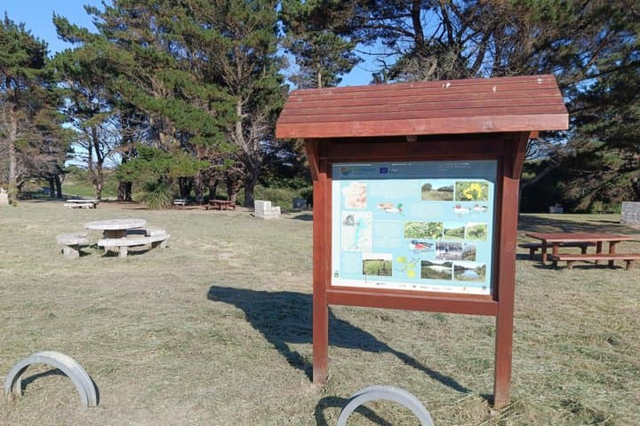 Guided bird watching tour of the Arnao Field