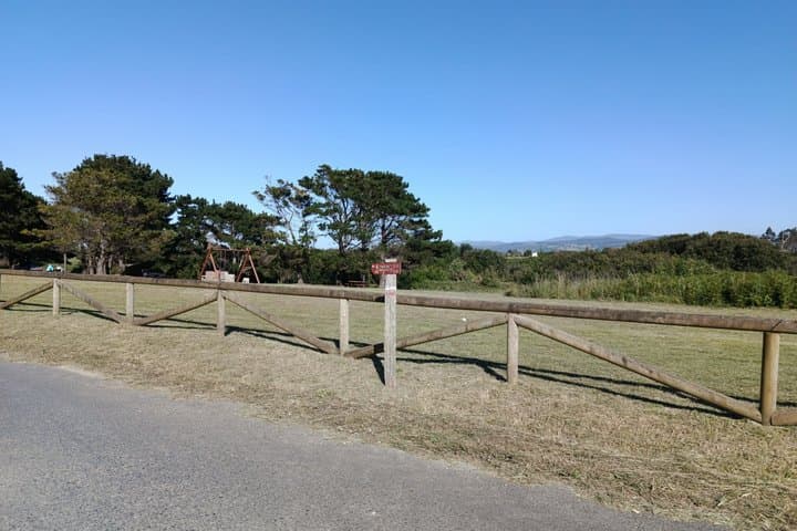 Guided bird watching tour of the Arnao Field