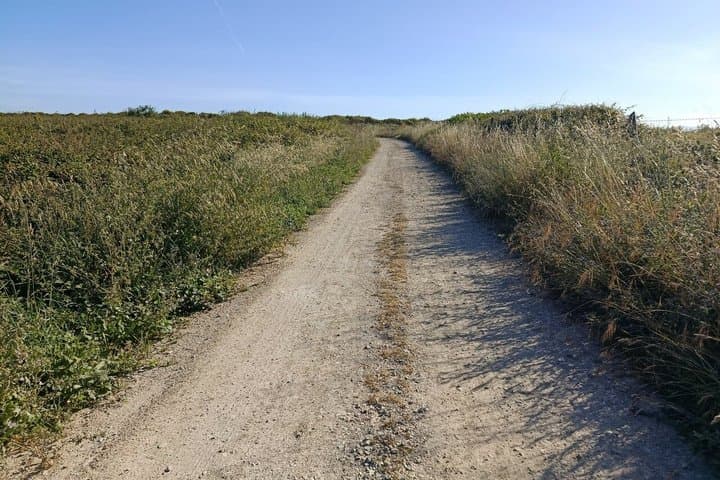 Guided bird watching tour of the Arnao Field