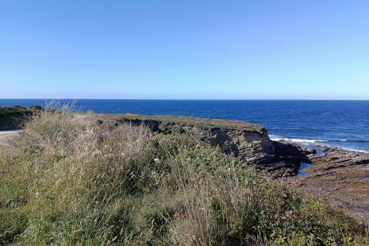 Guided bird watching tour of the Arnao Field