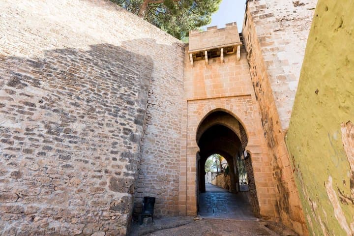 Dénia Castle Beach and Skulls Cave Day Trip from Valencia