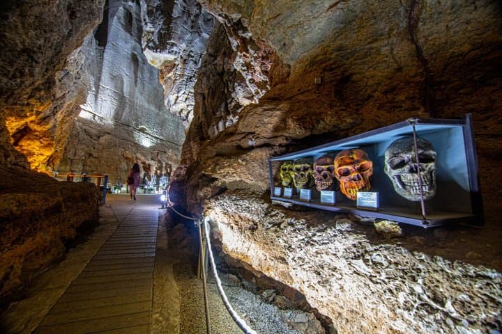 Dénia Castle Beach and Skulls Cave Day Trip from Valencia