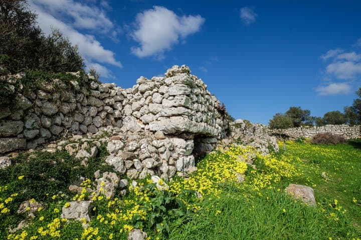 Minorca in 1 Day Talayotic Heritage and Vineyard Visit