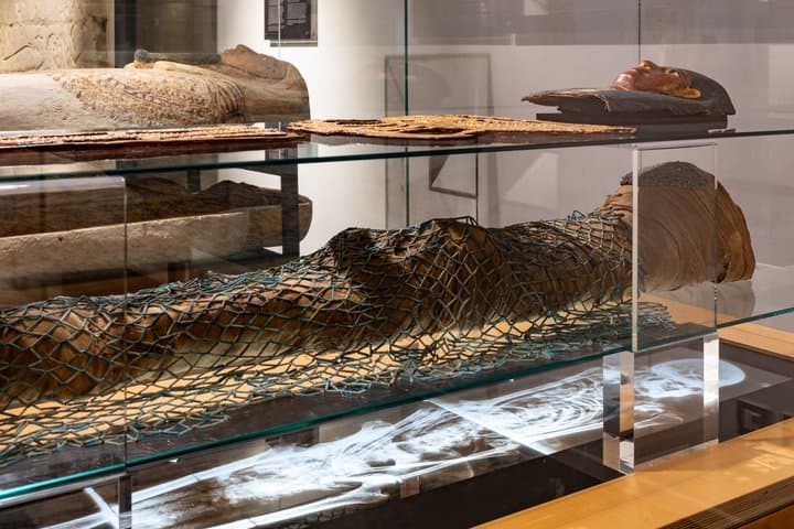 Admission to the Egyptian Museum of Barcelona