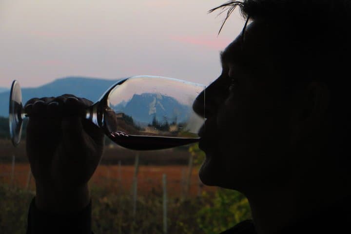 Private Bodega Tour XL Mallorca Wine Tasting in 3 Wineries